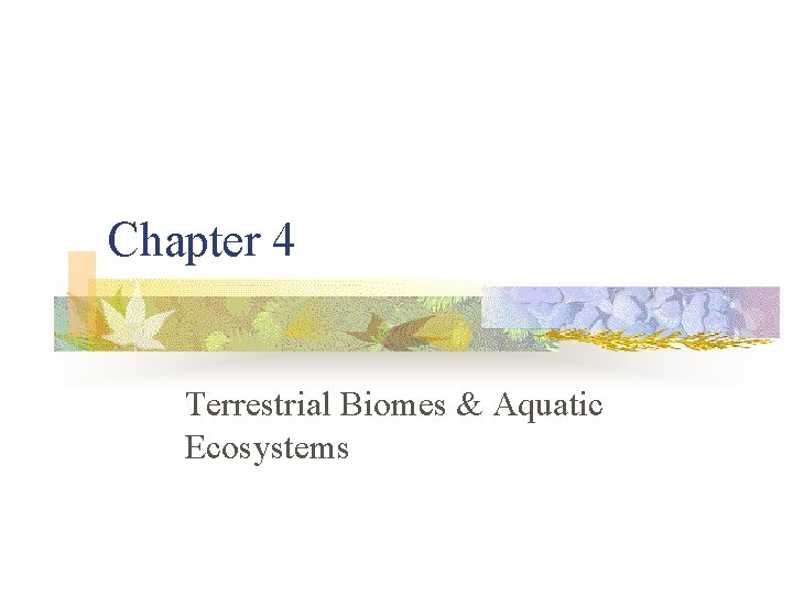 Chapter 4 Terrestrial Biomes & Aquatic Ecosystems 
