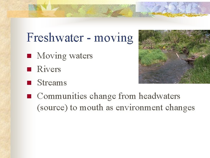 Freshwater - moving n n Moving waters Rivers Streams Communities change from headwaters (source)