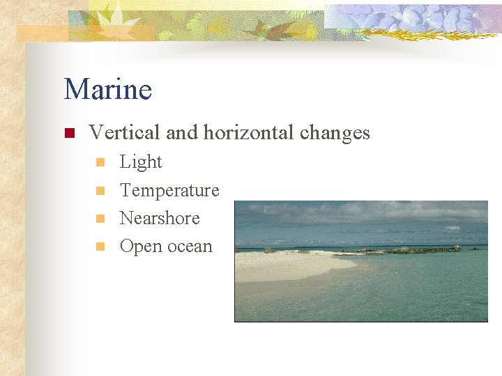 Marine n Vertical and horizontal changes n n Light Temperature Nearshore Open ocean 