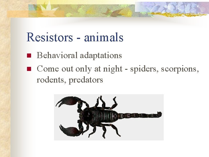 Resistors - animals n n Behavioral adaptations Come out only at night - spiders,