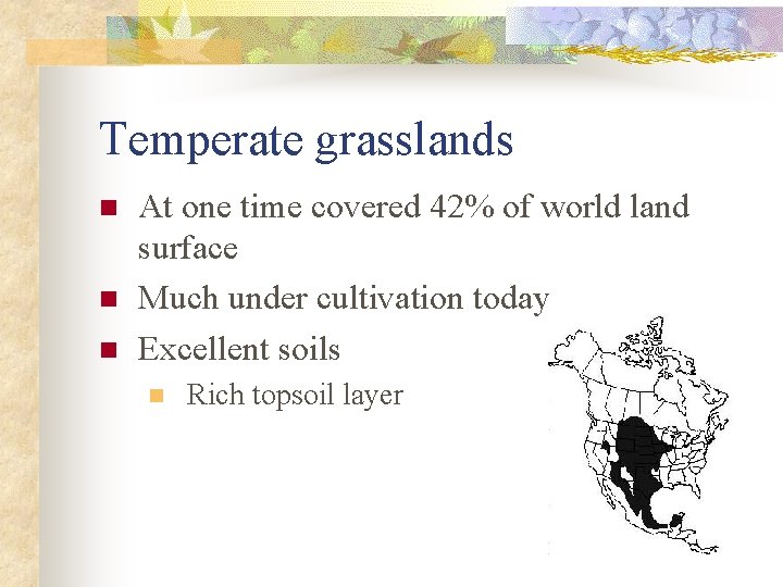 Temperate grasslands n n n At one time covered 42% of world land surface Temperate grasslands n n n At one time covered 42% of world land surface