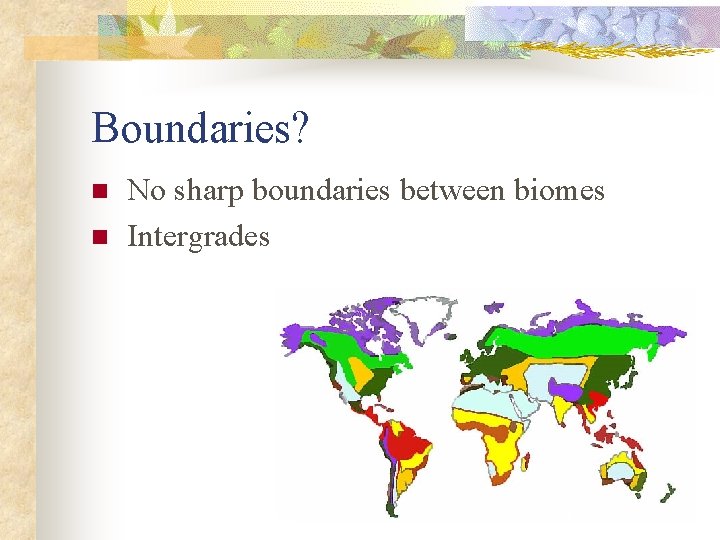 Boundaries? n n No sharp boundaries between biomes Intergrades 