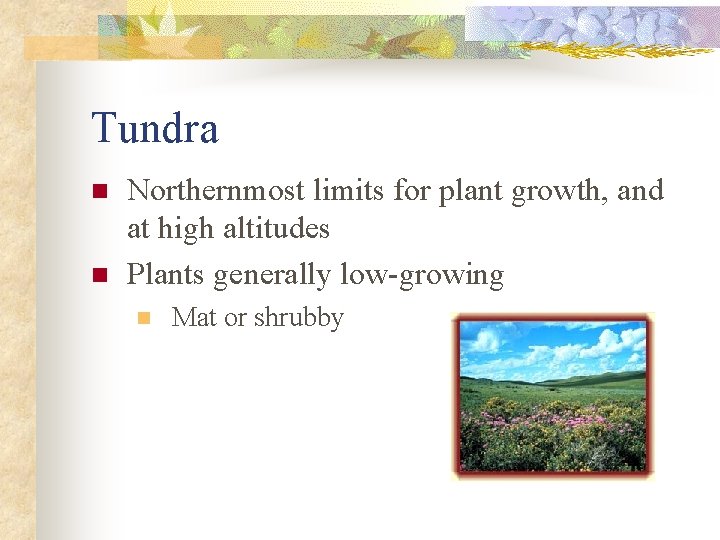 Tundra n n Northernmost limits for plant growth, and at high altitudes Plants generally