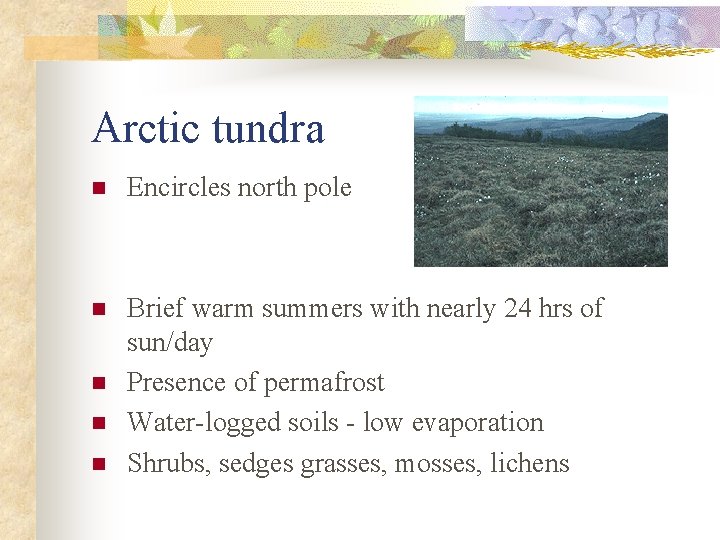 Arctic tundra n Encircles north pole n Brief warm summers with nearly 24 hrs
