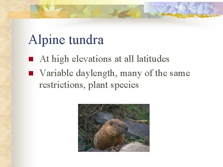 Alpine tundra n n At high elevations at all latitudes Variable daylength, many of