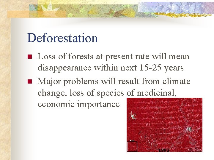 Deforestation n n Loss of forests at present rate will mean disappearance within next