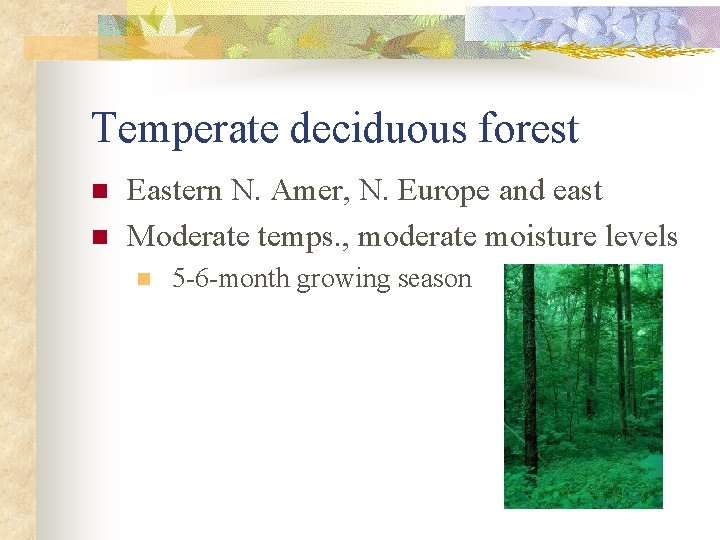 Temperate deciduous forest n n Eastern N. Amer, N. Europe and east Moderate temps.