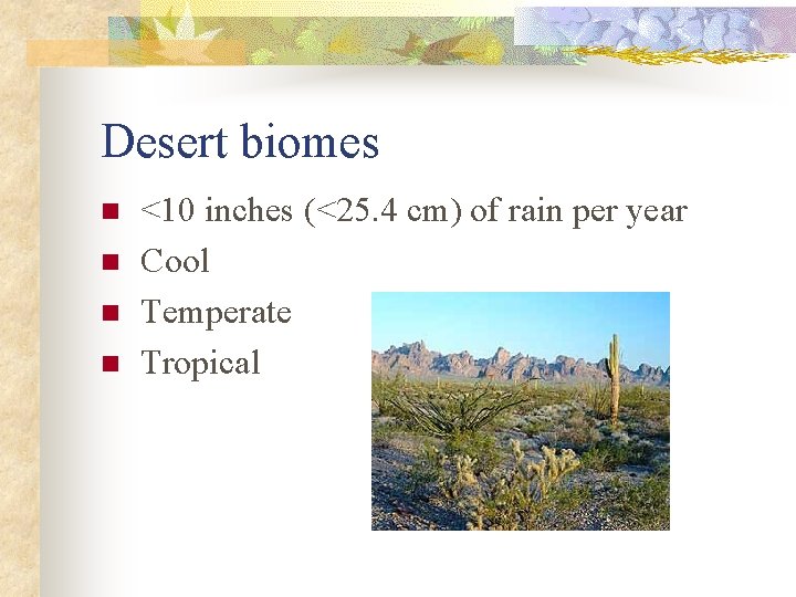 Desert biomes n n <10 inches (<25. 4 cm) of rain per year Cool