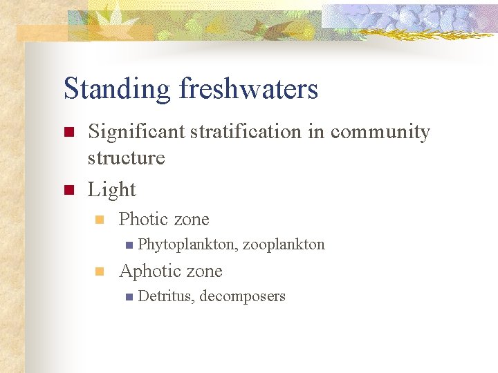 Standing freshwaters n n Significant stratification in community structure Light n Photic zone n
