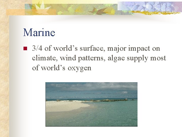 Marine n 3/4 of world’s surface, major impact on climate, wind patterns, algae supply