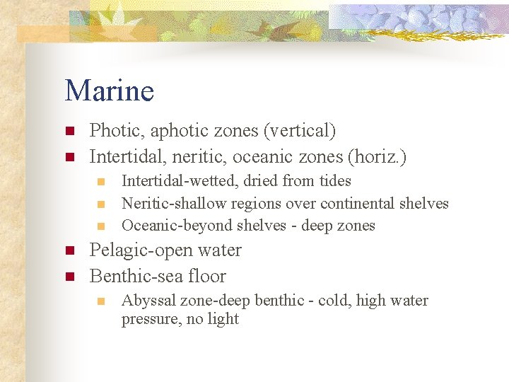 Marine n n Photic, aphotic zones (vertical) Intertidal, neritic, oceanic zones (horiz. ) n