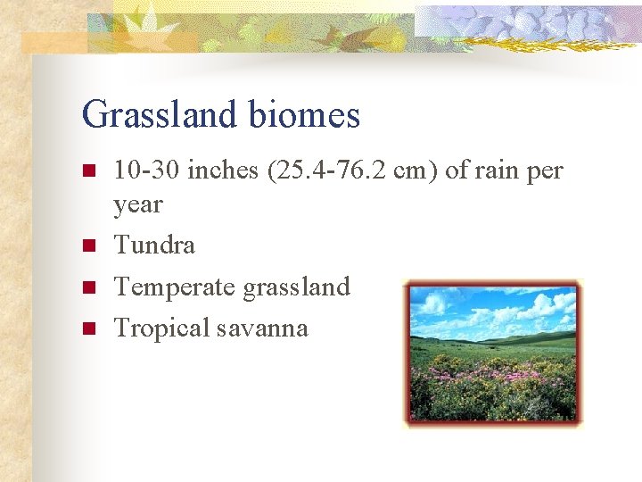 Grassland biomes n n 10 -30 inches (25. 4 -76. 2 cm) of rain