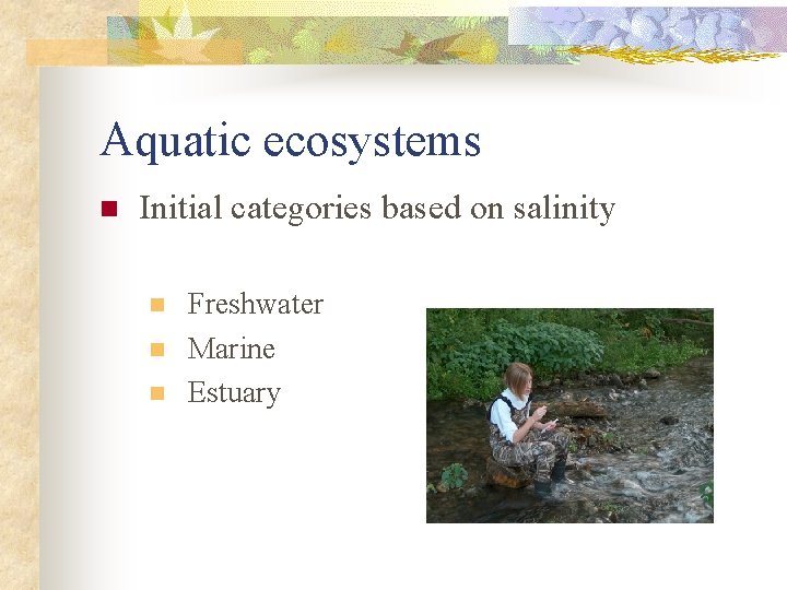 Aquatic ecosystems n Initial categories based on salinity n n n Freshwater Marine Estuary