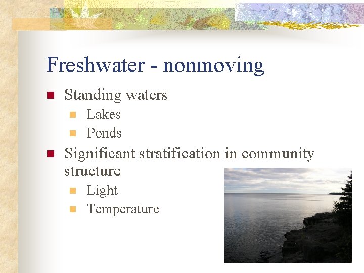 Freshwater - nonmoving n Standing waters n n n Lakes Ponds Significant stratification in