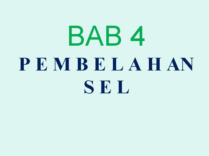 BAB 4 P E M B E L A H AN SEL 