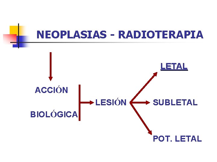 NEOPLASIAS - RADIOTERAPIA LETAL ACCIÓN LESIÓN SUBLETAL BIOLÓGICA POT. LETAL 