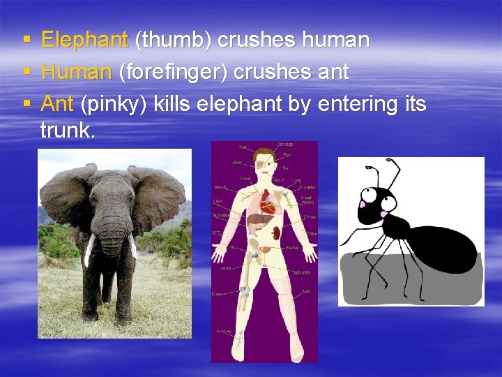 § § § Elephant (thumb) crushes human Human (forefinger) crushes ant Ant (pinky) kills