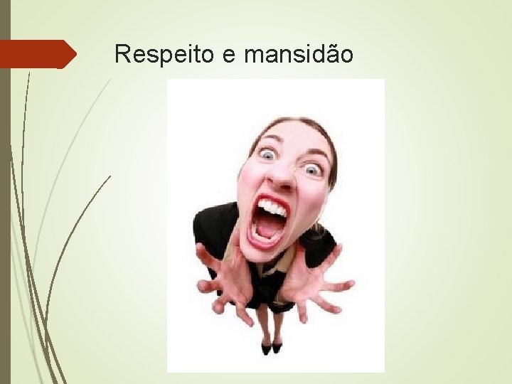 Respeito e mansidão 