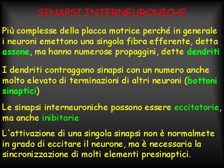SINAPSI INTERNEURONICHE Più complesse della placca motrice perché in generale i neuroni emettono una
