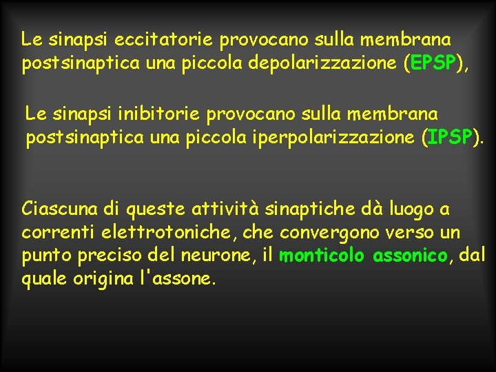 Le sinapsi eccitatorie provocano sulla membrana postsinaptica una piccola depolarizzazione (EPSP), Le sinapsi inibitorie