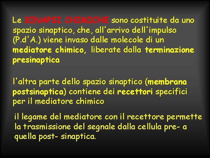 Le SINAPSI CHIMICHE sono costituite da uno spazio sinaptico, che, all'arrivo dell'impulso (P. d'A.