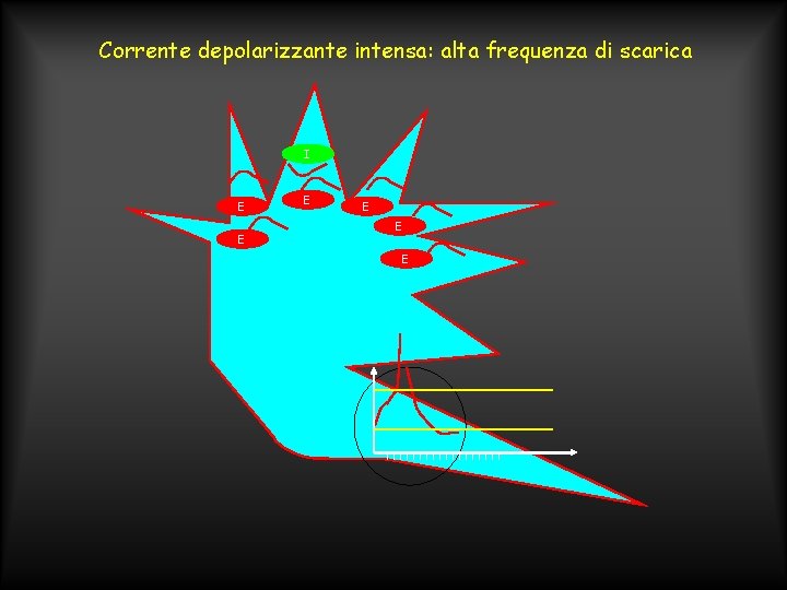 Corrente depolarizzante intensa: alta frequenza di scarica I E E E 