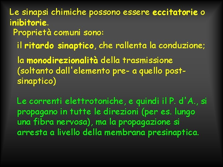 Le sinapsi chimiche possono essere eccitatorie o inibitorie. Proprietà comuni sono: il ritardo sinaptico,