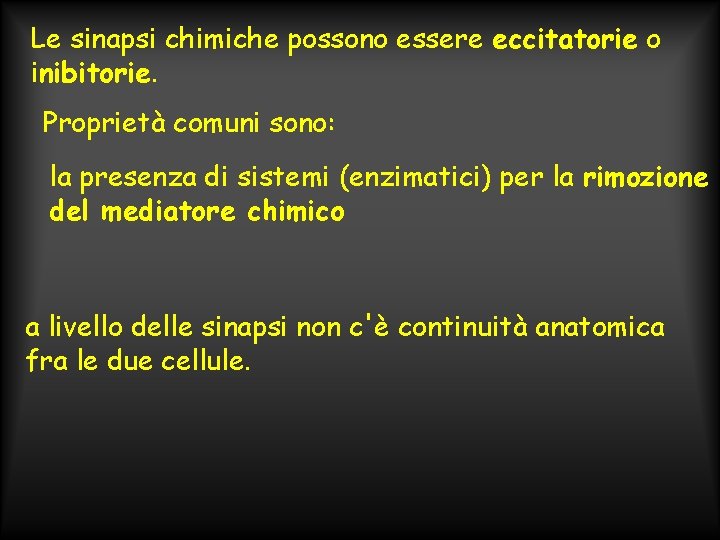 Le sinapsi chimiche possono essere eccitatorie o inibitorie. Proprietà comuni sono: la presenza di