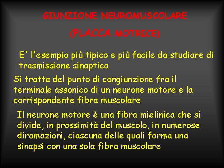 GIUNZIONE NEUROMUSCOLARE (PLACCA MOTRICE) E' l'esempio più tipico e più facile da studiare di