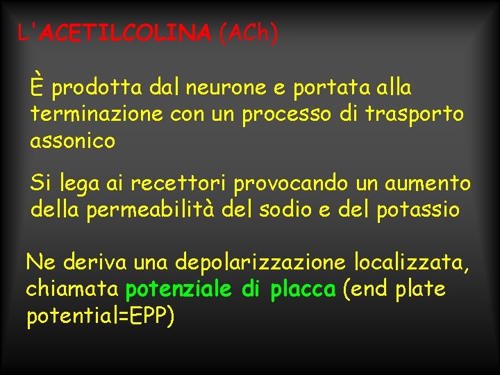 L'ACETILCOLINA (ACh) È prodotta dal neurone e portata alla terminazione con un processo di