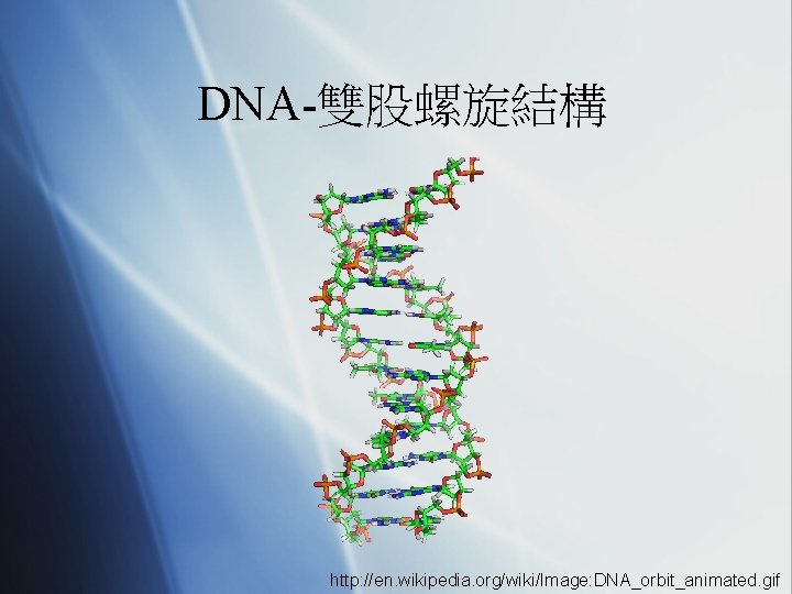 DNA-雙股螺旋結構 http: //en. wikipedia. org/wiki/Image: DNA_orbit_animated. gif 