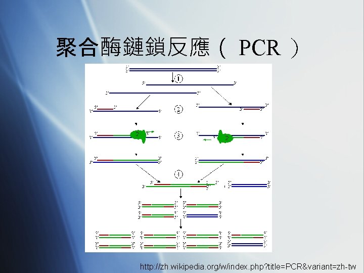 聚合酶鏈鎖反應（ PCR ） http: //zh. wikipedia. org/w/index. php? title=PCR&variant=zh-tw 