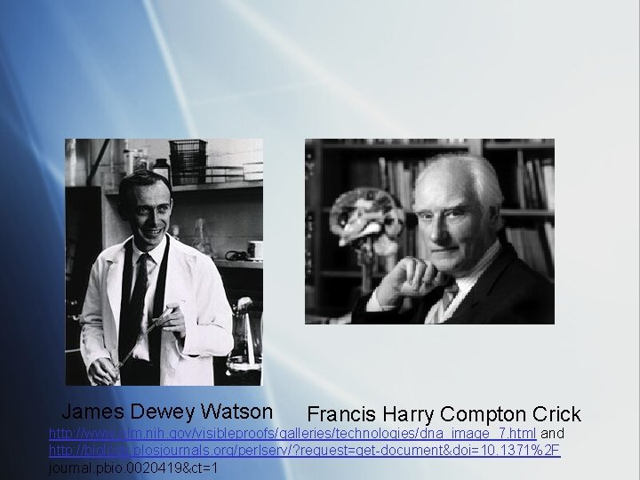 James Dewey Watson Francis Harry Compton Crick http: //www. nlm. nih. gov/visibleproofs/galleries/technologies/dna_image_7. html and