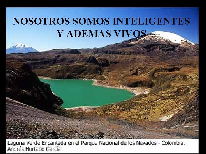 NOSOTROS SOMOS INTELIGENTES Y ADEMAS VIVOS 