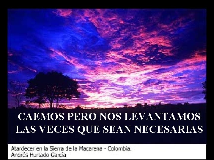 CAEMOS PERO NOS LEVANTAMOS LAS VECES QUE SEAN NECESARIAS 