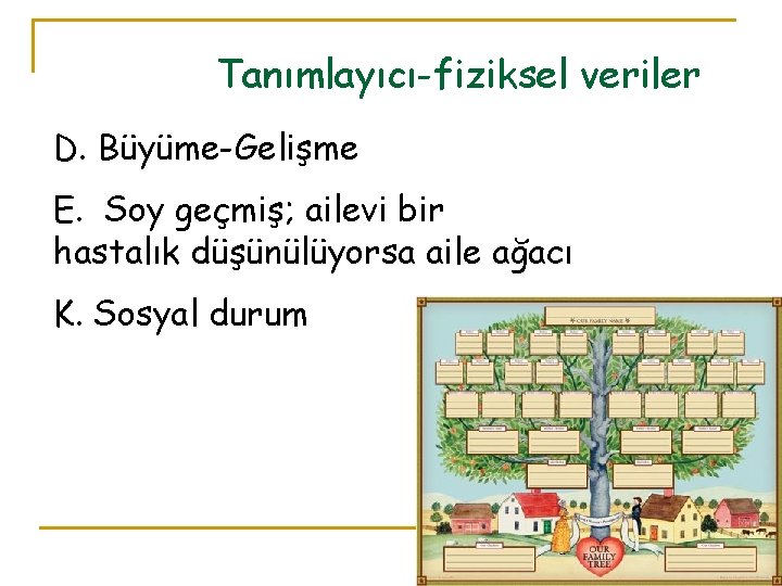 Tanımlayıcı-fiziksel veriler D. Büyüme-Gelişme E. Soy geçmiş; ailevi bir hastalık düşünülüyorsa aile ağacı K.