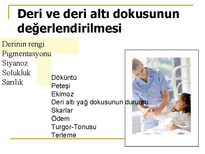 Deri ve deri altı dokusunun değerlendirilmesi Derinin rengi Pigmentasyonu Siyanoz Solukluk Döküntü Sarılık Peteşi