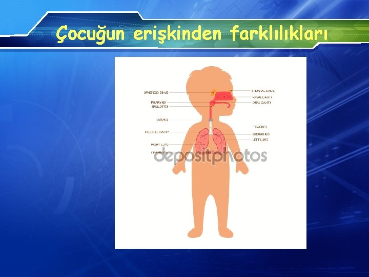 Çocuğun erişkinden farklılıkları 