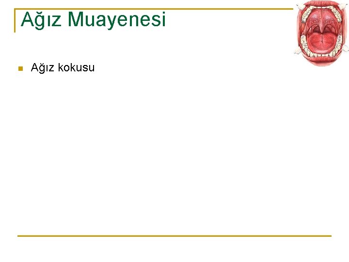 Ağız Muayenesi n Ağız kokusu 