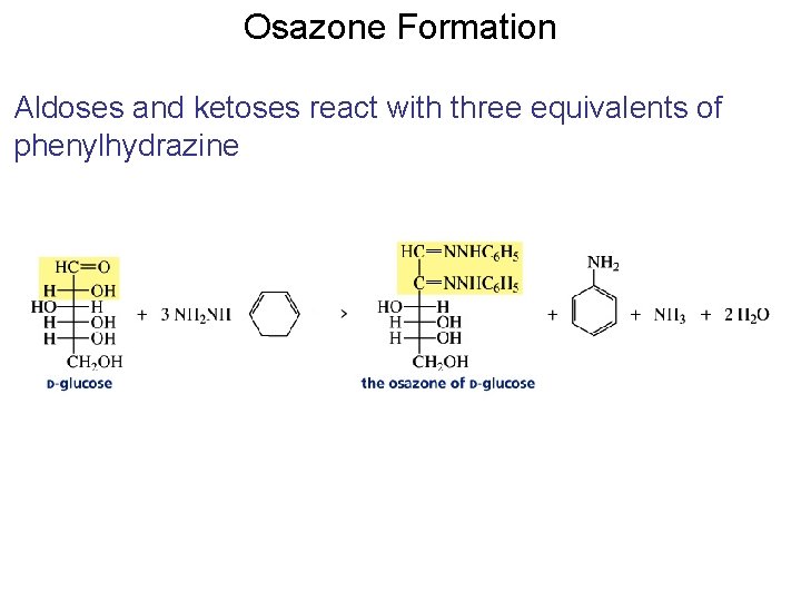 Osazone Formation Aldoses and ketoses react with three equivalents of phenylhydrazine Osazone Formation Aldoses and ketoses react with three equivalents of phenylhydrazine