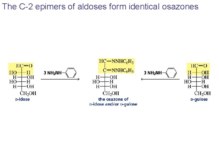 The C-2 epimers of aldoses form identical osazones The C-2 epimers of aldoses form identical osazones