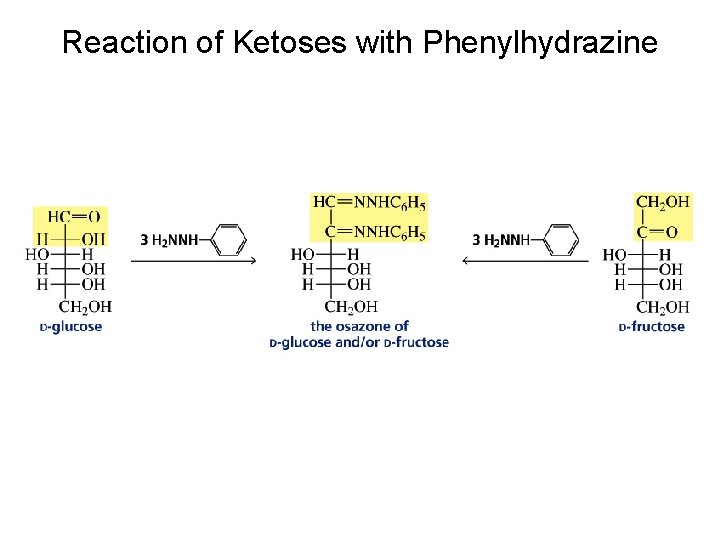 Reaction of Ketoses with Phenylhydrazine Reaction of Ketoses with Phenylhydrazine