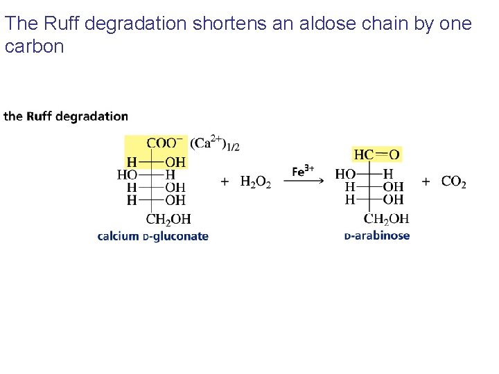 The Ruff degradation shortens an aldose chain by one carbon The Ruff degradation shortens an aldose chain by one carbon
