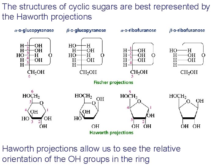 The structures of cyclic sugars are best represented by the Haworth projections allow us The structures of cyclic sugars are best represented by the Haworth projections allow us