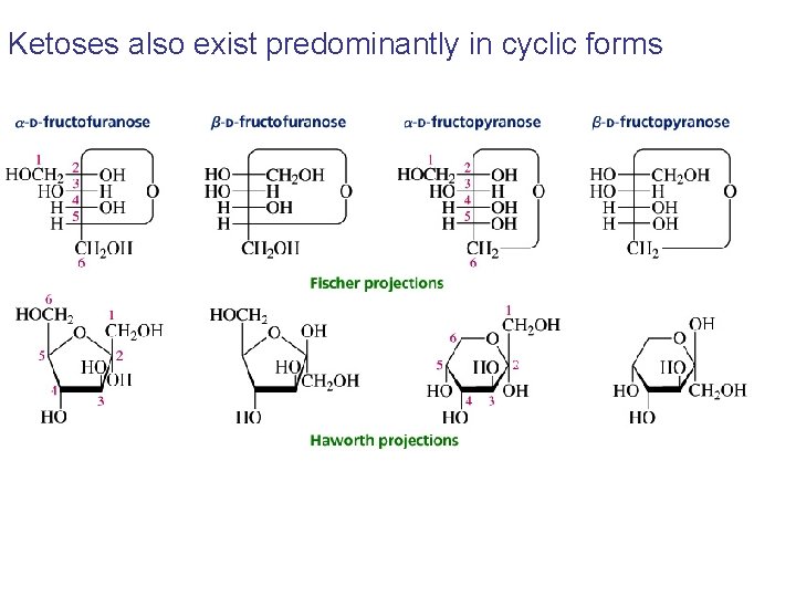 Ketoses also exist predominantly in cyclic forms Ketoses also exist predominantly in cyclic forms