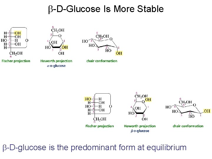 b-D-Glucose Is More Stable b-D-glucose is the predominant form at equilibrium b-D-Glucose Is More Stable b-D-glucose is the predominant form at equilibrium