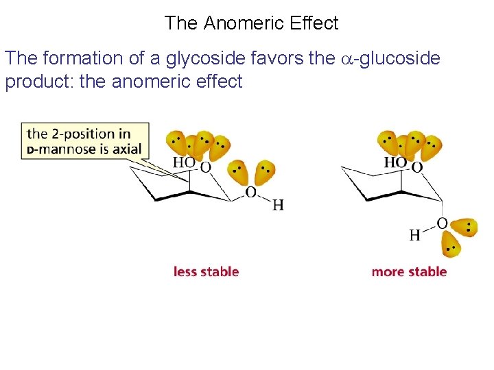 The Anomeric Effect The formation of a glycoside favors the a-glucoside product: the anomeric The Anomeric Effect The formation of a glycoside favors the a-glucoside product: the anomeric