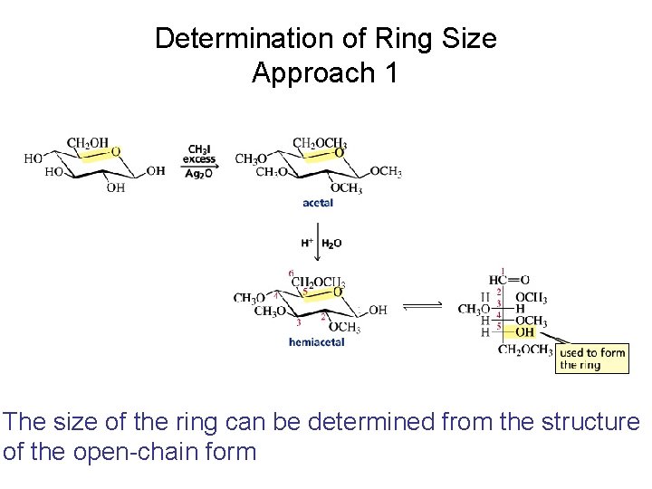 Determination of Ring Size Approach 1 The size of the ring can be determined Determination of Ring Size Approach 1 The size of the ring can be determined