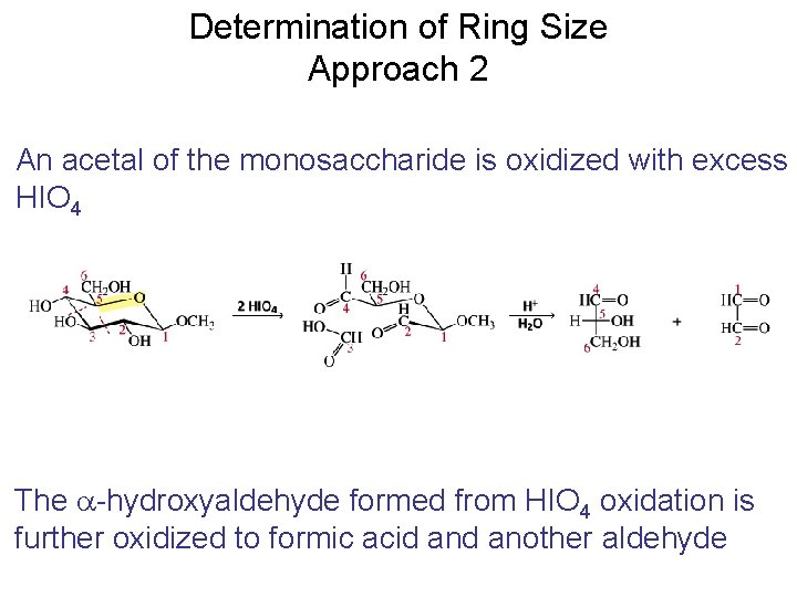 Determination of Ring Size Approach 2 An acetal of the monosaccharide is oxidized with Determination of Ring Size Approach 2 An acetal of the monosaccharide is oxidized with