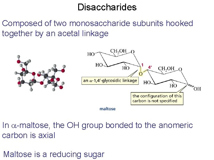 Disaccharides Composed of two monosaccharide subunits hooked together by an acetal linkage In a-maltose, Disaccharides Composed of two monosaccharide subunits hooked together by an acetal linkage In a-maltose,